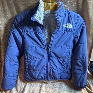 The North Face Blue Puffer Jacket